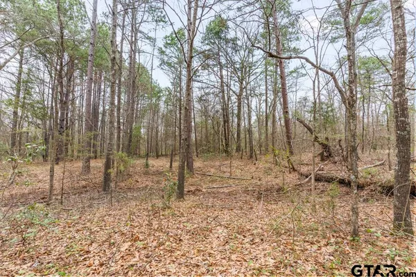 $114,000 | 250 East Pliler Precise Road, Longview, TX 75605