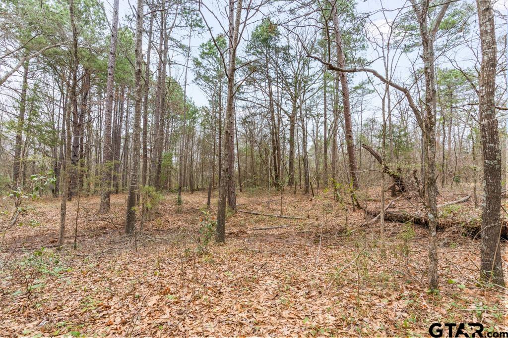 Tbd East Pliler Precise Road Longview, TX 75605 - Photo 19 of 19 a backyard of a house with lots of trees