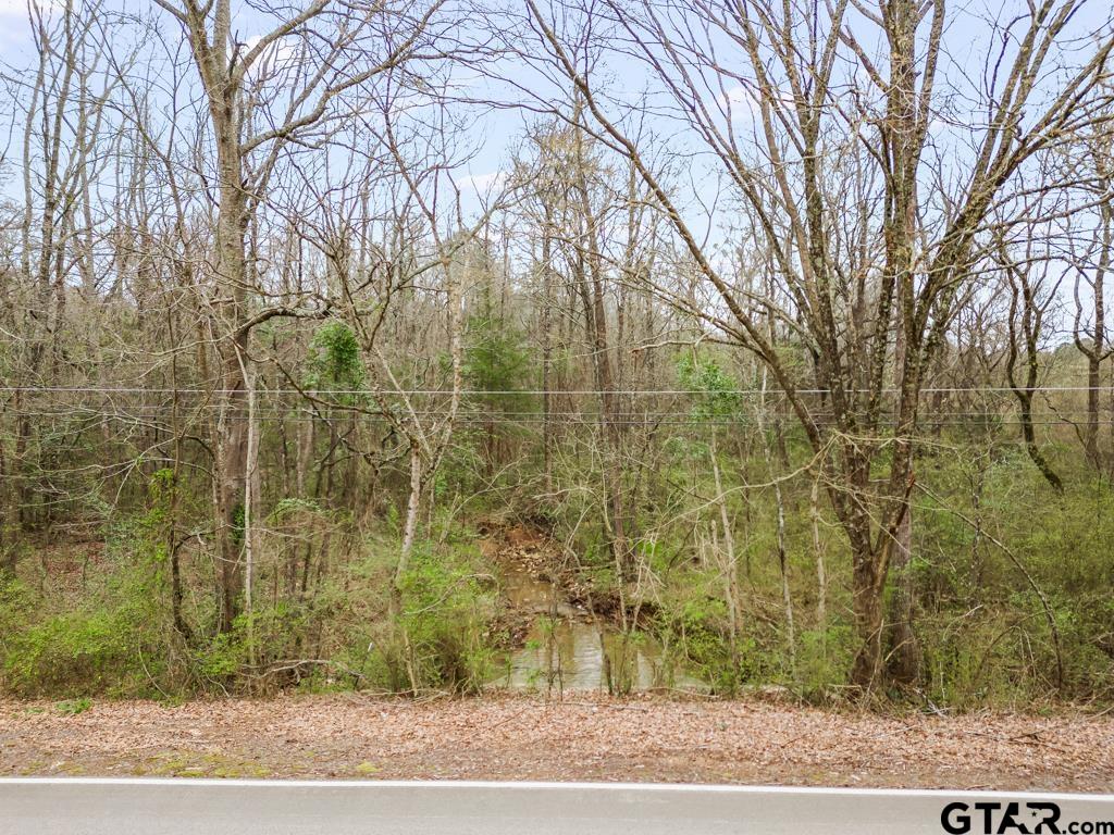 Tbd East Pliler Precise Road Longview, TX 75605 - Photo 6 of 19 a view of a pathway of a building