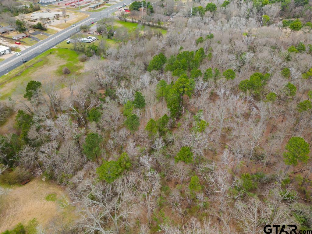 Tbd East Pliler Precise Road Longview, TX 75605 - Photo 7 of 19 a view of a lake with large trees