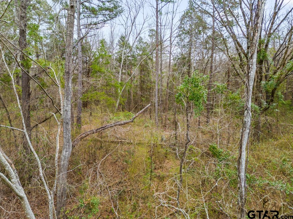 Tbd East Pliler Precise Road Longview, TX 75605 - Photo 8 of 19 a view of a pathway of a building