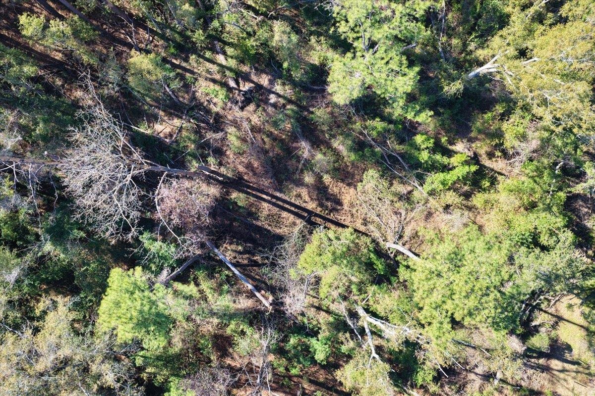 Vacant Northeast Garden Road Madison, FL 32340 - Photo 14 of 24