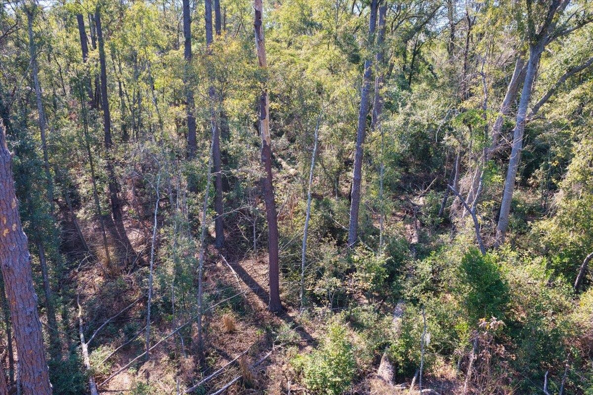 Vacant Northeast Garden Road Madison, FL 32340 - Photo 18 of 24