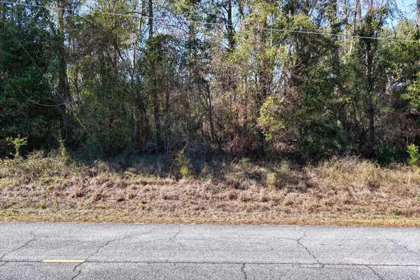 $58,500 | Vacant Northeast Garden Road, Madison, FL 32340
