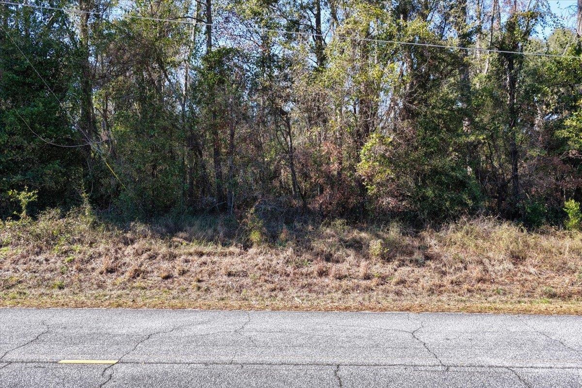 Vacant Northeast Garden Road Madison, FL 32340 - Photo 19 of 24