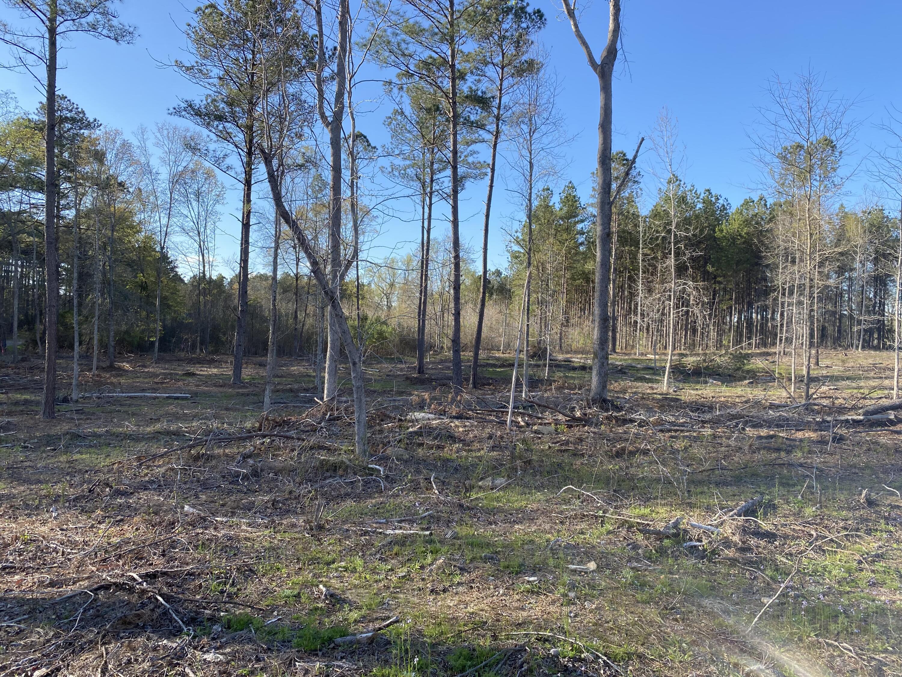 Five Notch Edgefield, SC 29824 - Photo 2 of 4 Photo Mar 13 2023, 6 01 40 PM