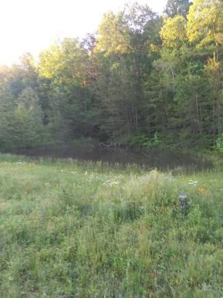 1 Brown Gabbard Road Booneville, KY 41314 - Photo 5 of 11 Photo 5