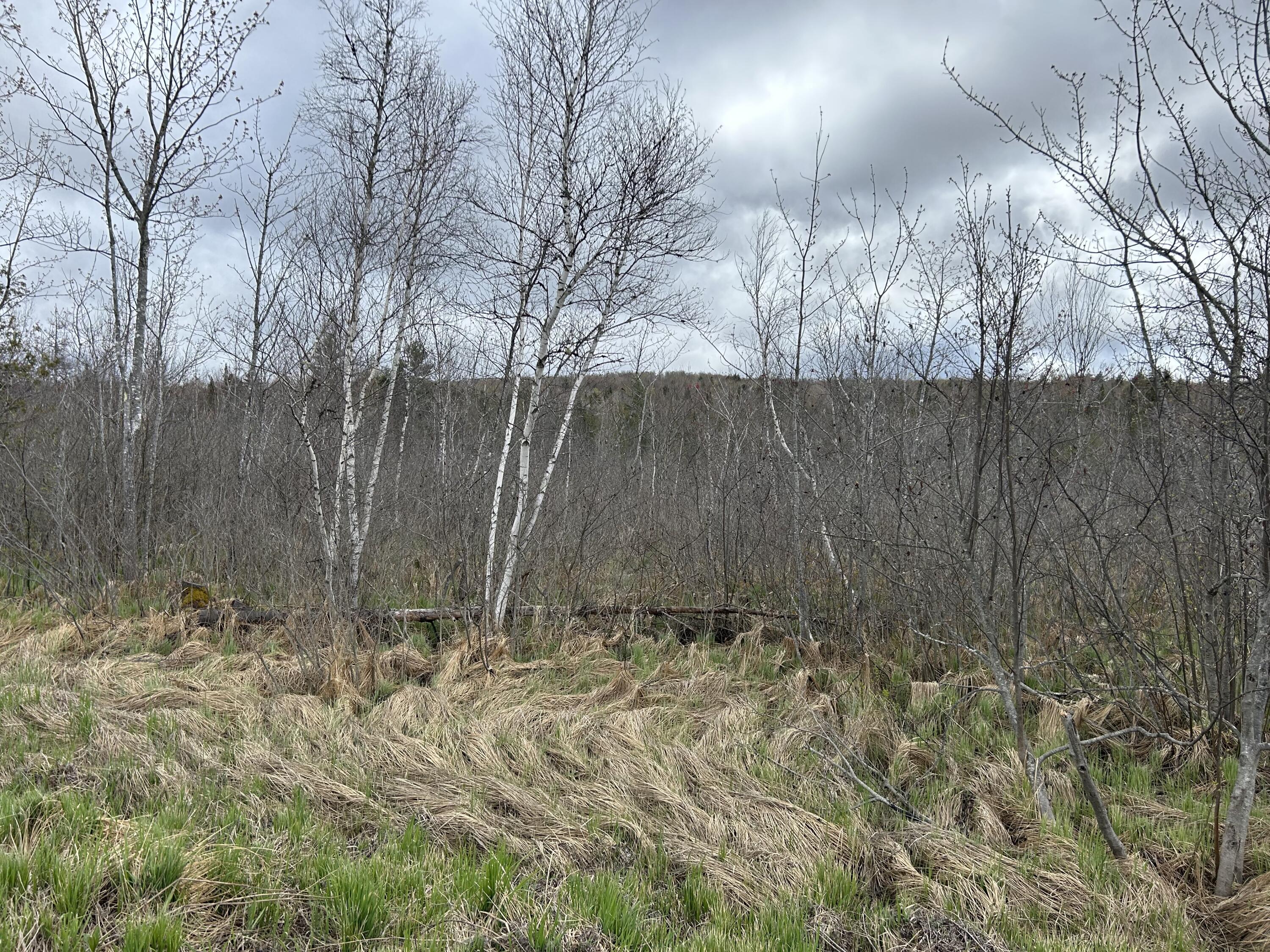 8.1 Brackett Brook Road Strong, ME 04983 - Photo 2 of 5 Rt 142 View