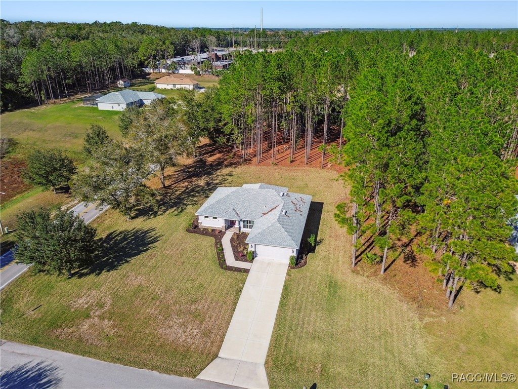 65 East Boston Street Hernando, FL 34442 - Photo 66 of 100