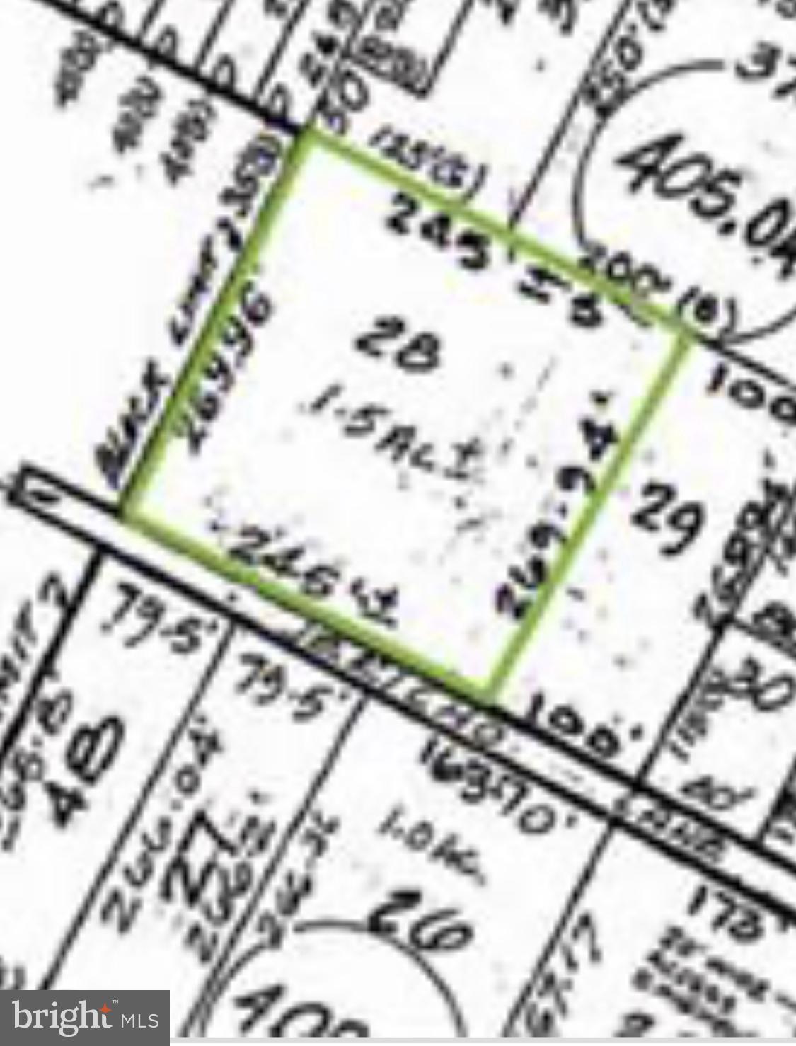 a view of a plant in a garden