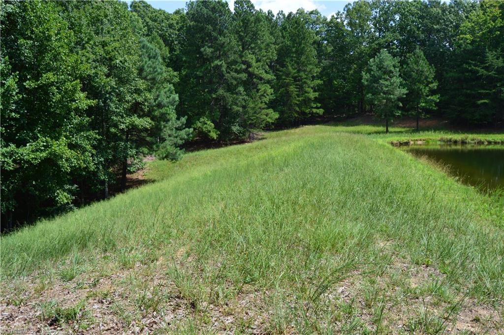 2122 Cherokee Camp Road Reidsville, NC 27320 - Photo 9 of 21 Gallery Image 9