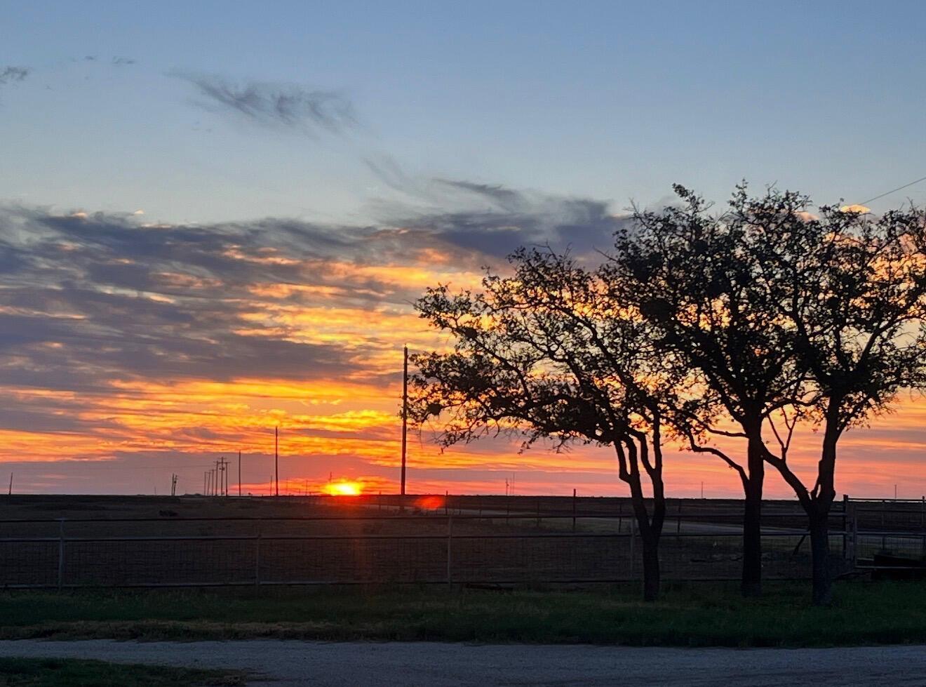 12326 East Veribest Road Miles, TX 76861 - Photo 50 of 52 50