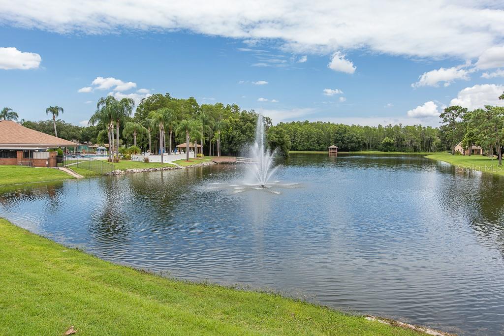 9404 Rockbridge Circle New Port Richey, FL 34655 - Photo 23 of 25