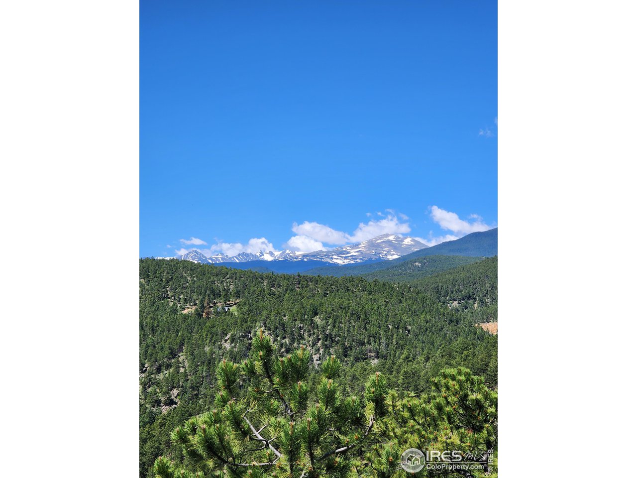 50 Pine Drive Lyons, CO 80540 - Photo 36 of 39 a view of a big yard with an empty space