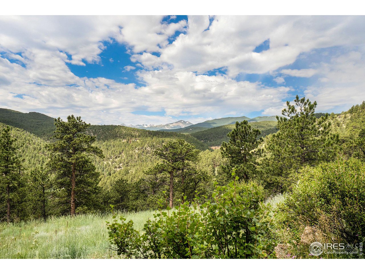 50 Pine Drive Lyons, CO 80540 - Photo 37 of 39