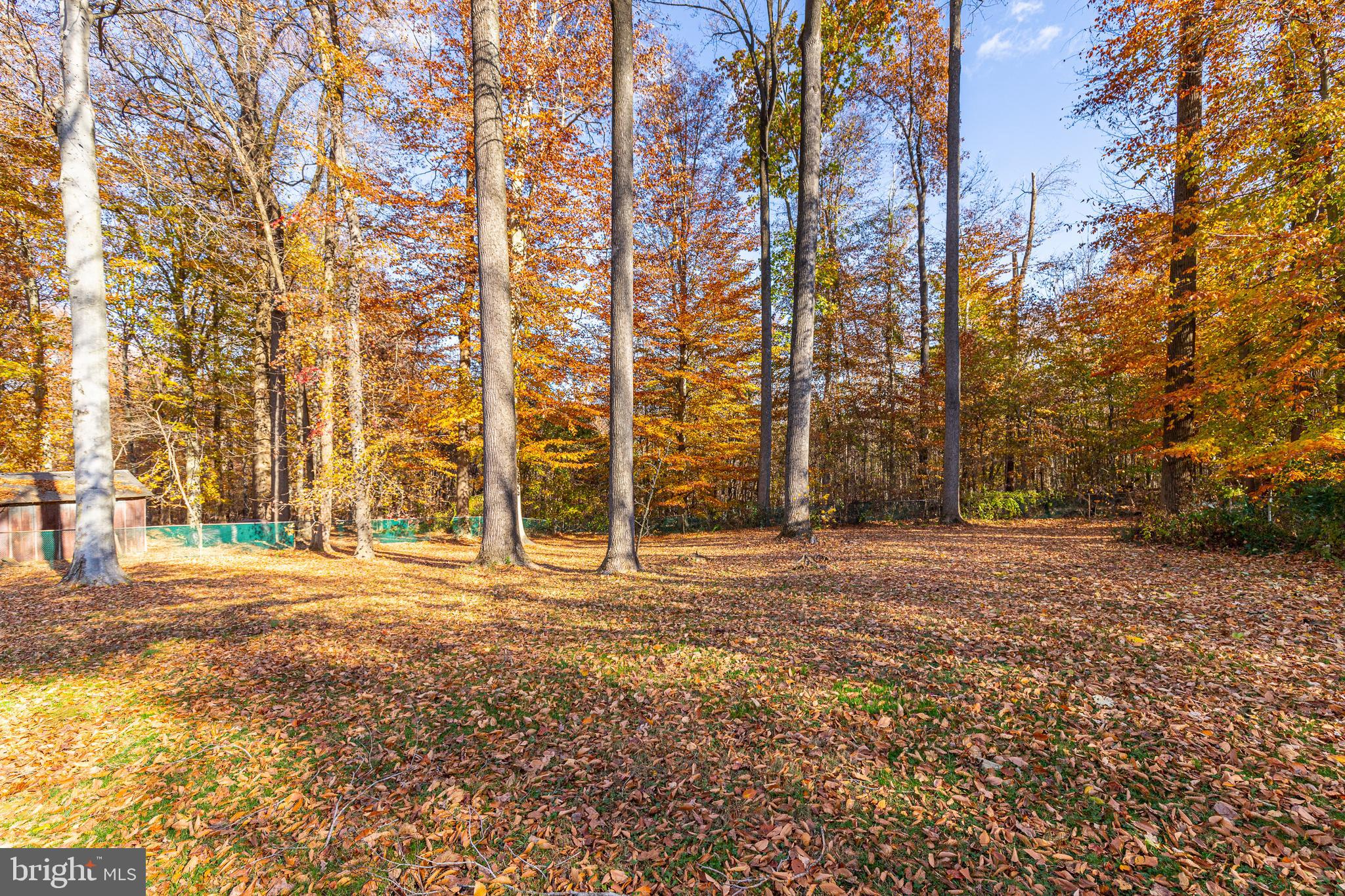 759 Gilbert Road Aberdeen, MD 21001 - Photo 64 of 64 Gallery Image 64