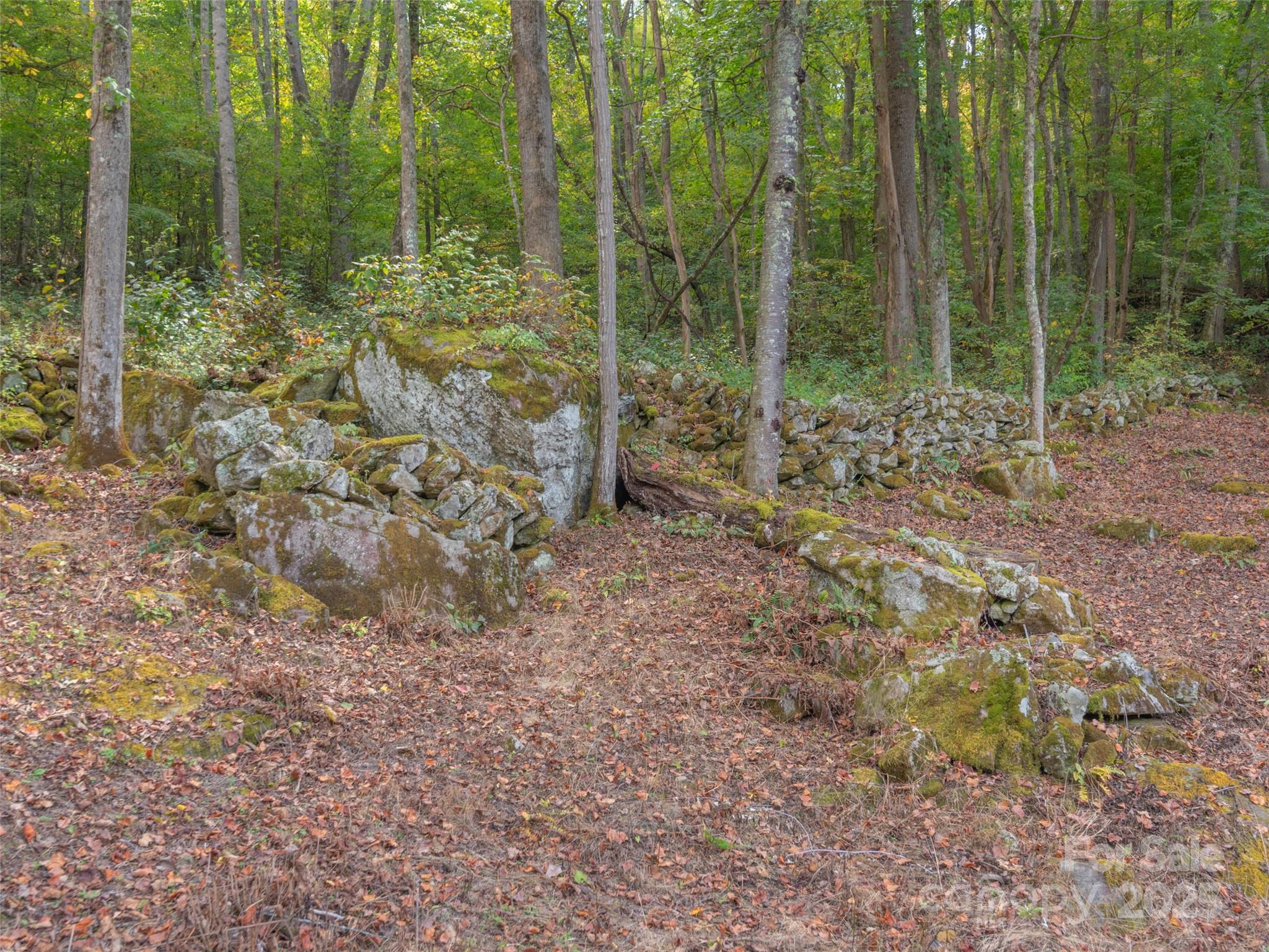 62 Sallys Branch Road Clyde, NC 28721 - Photo 29 of 30