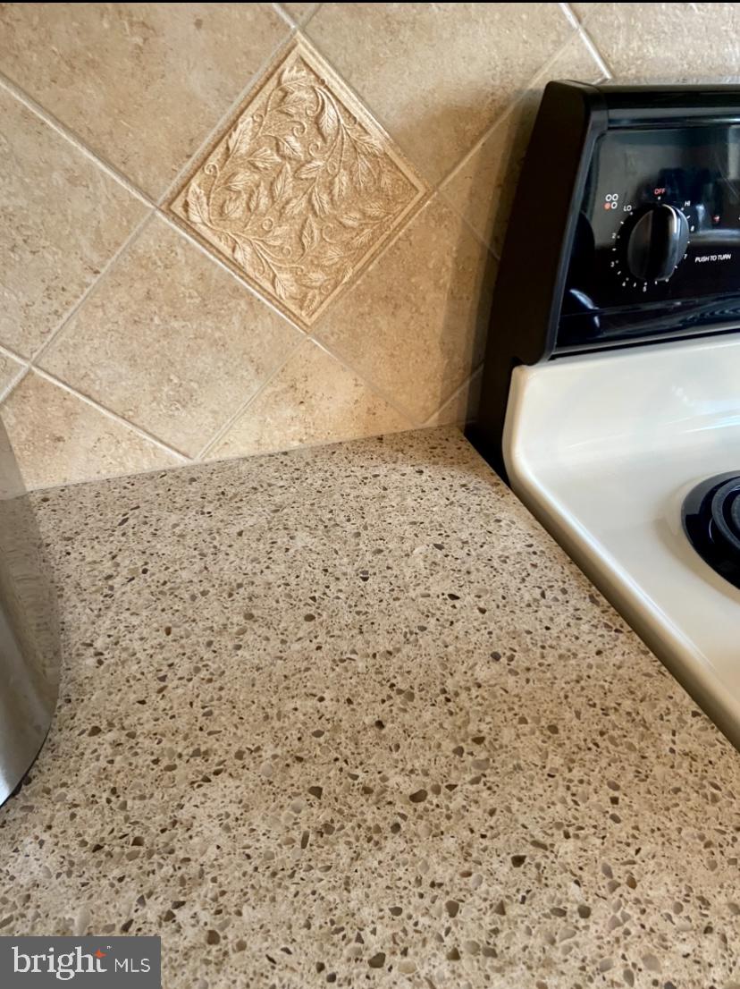 17274 Pickwick Drive Purcellville, VA 20132 - Photo 4 of 10