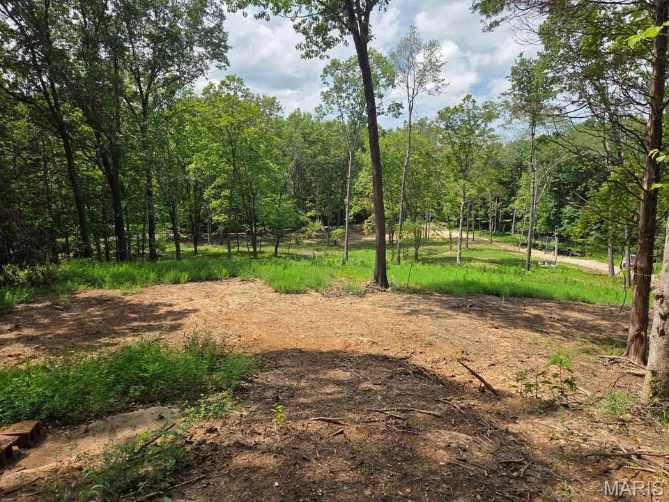 798 Wengler Road Pacific, MO 63069 - Photo 4 of 8 Gallery Image 4