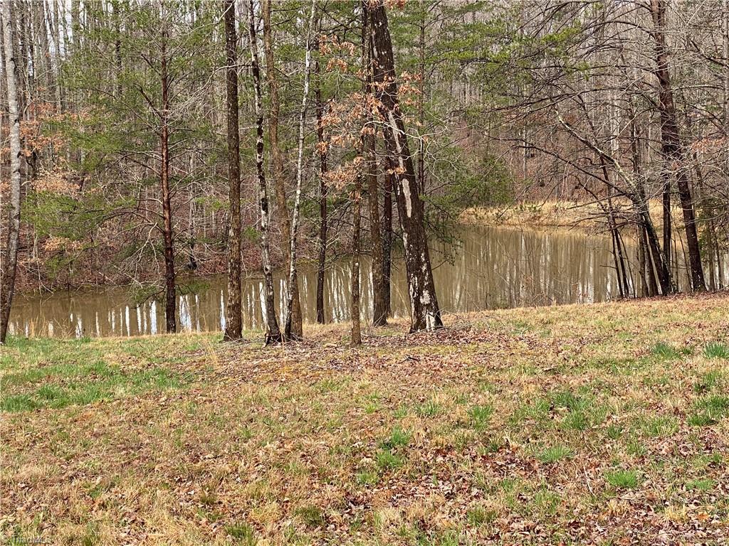 1140 Fred Merritt Road King, NC 27021 - Photo 17 of 48