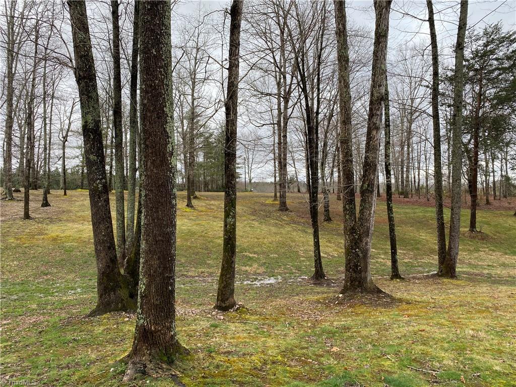 1140 Fred Merritt Road King, NC 27021 - Photo 21 of 48