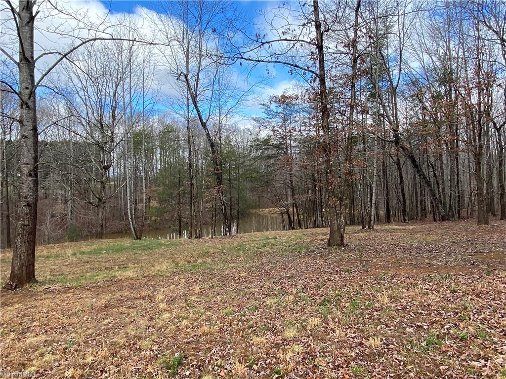 1140 Fred Merritt Road King, NC 27021 - Photo 27 of 48