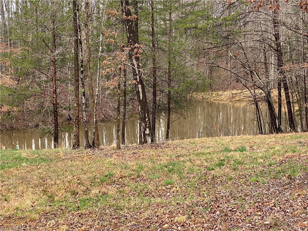 1140 Fred Merritt Road King, NC 27021 - Photo 5 of 48