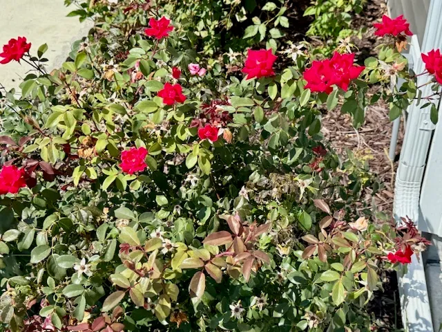 a view of a terrace view