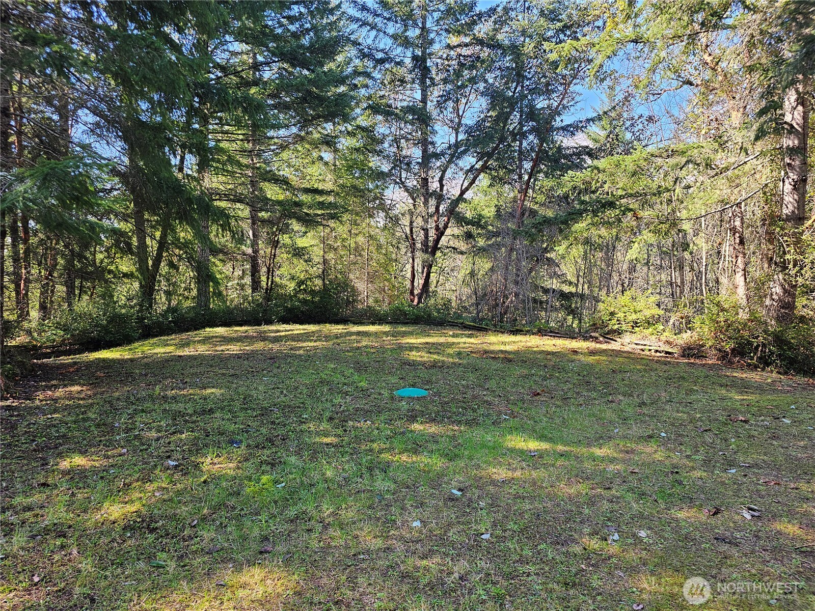753 Jupiter Loop Brinnon, WA 98320 - Photo 13 of 25 a view of outdoor space with trees