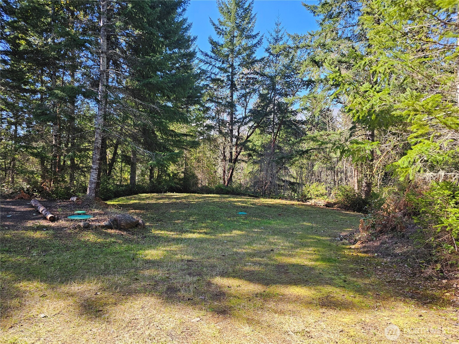 753 Jupiter Loop Brinnon, WA 98320 - Photo 14 of 25 a view of backyard with green space