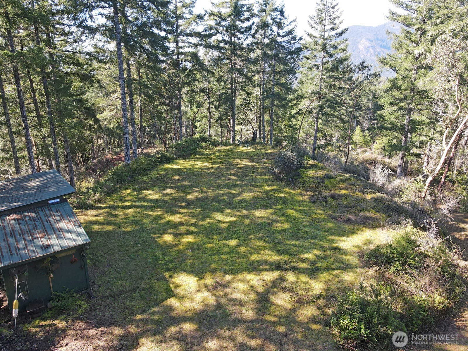 753 Jupiter Loop Brinnon, WA 98320 - Photo 2 of 25 a backyard of a house with lots of green space