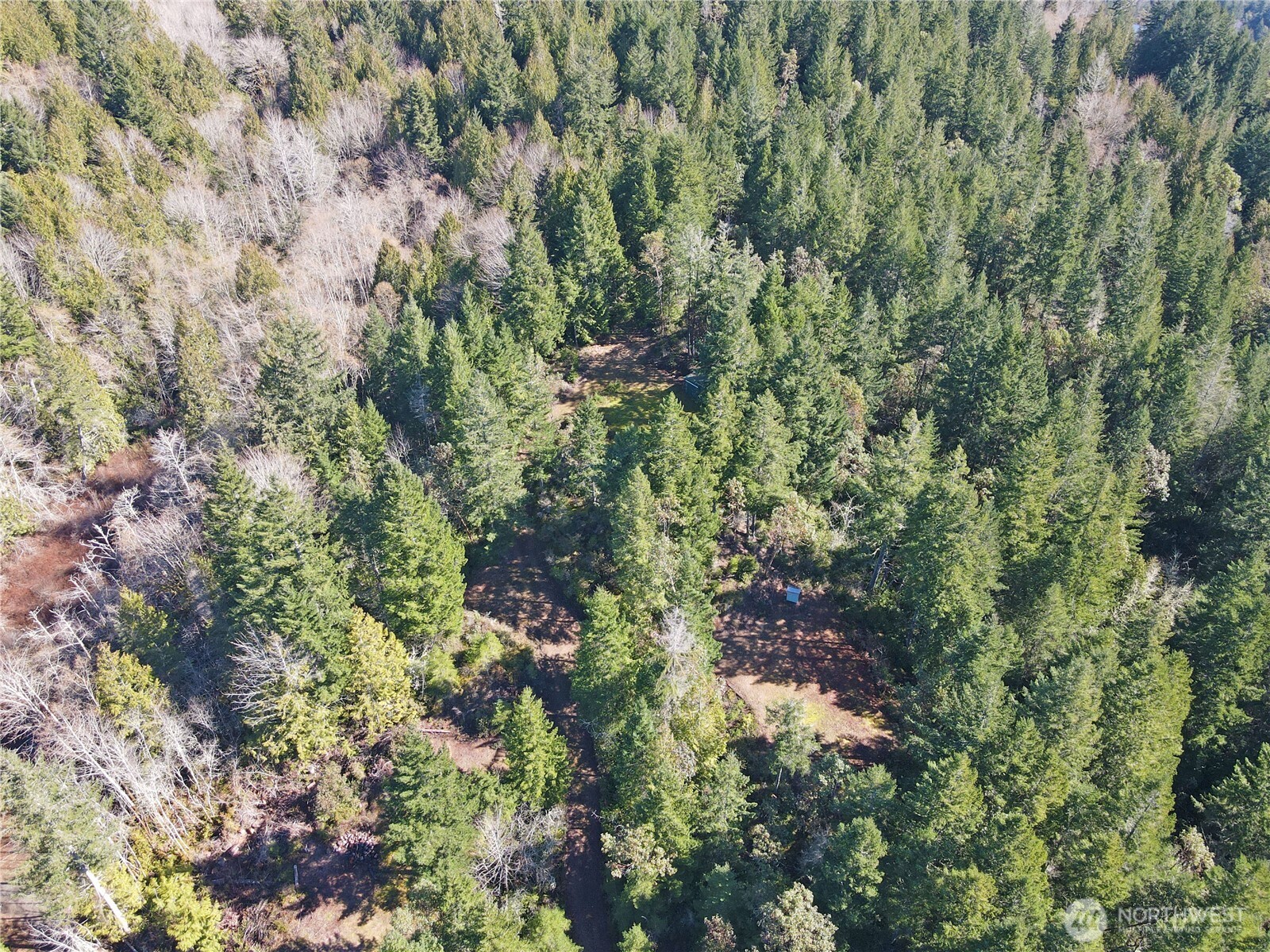 753 Jupiter Loop Brinnon, WA 98320 - Photo 24 of 25 a view of a lush green forest
