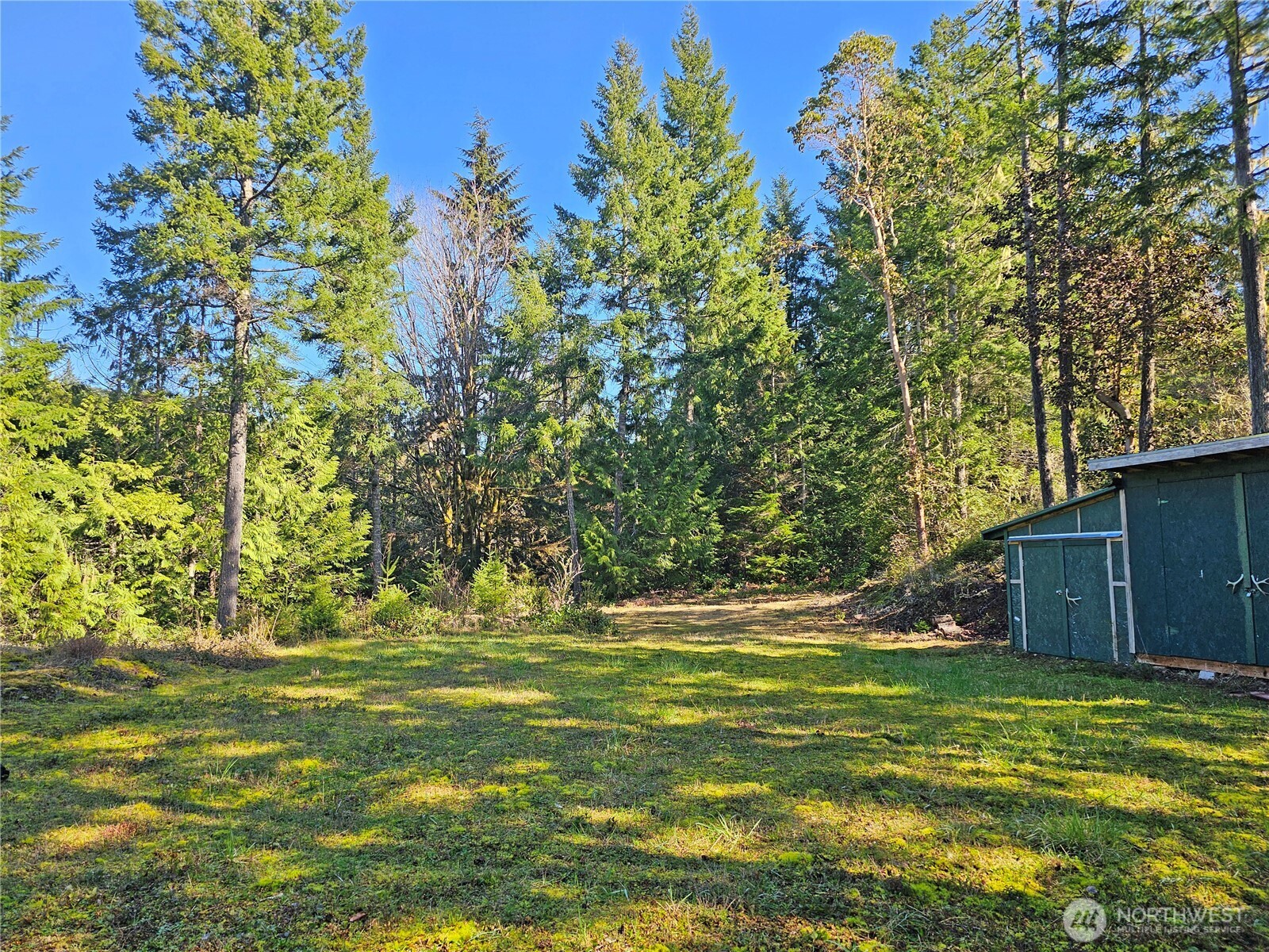 753 Jupiter Loop Brinnon, WA 98320 - Photo 25 of 25 a backyard of a house with lots of green space