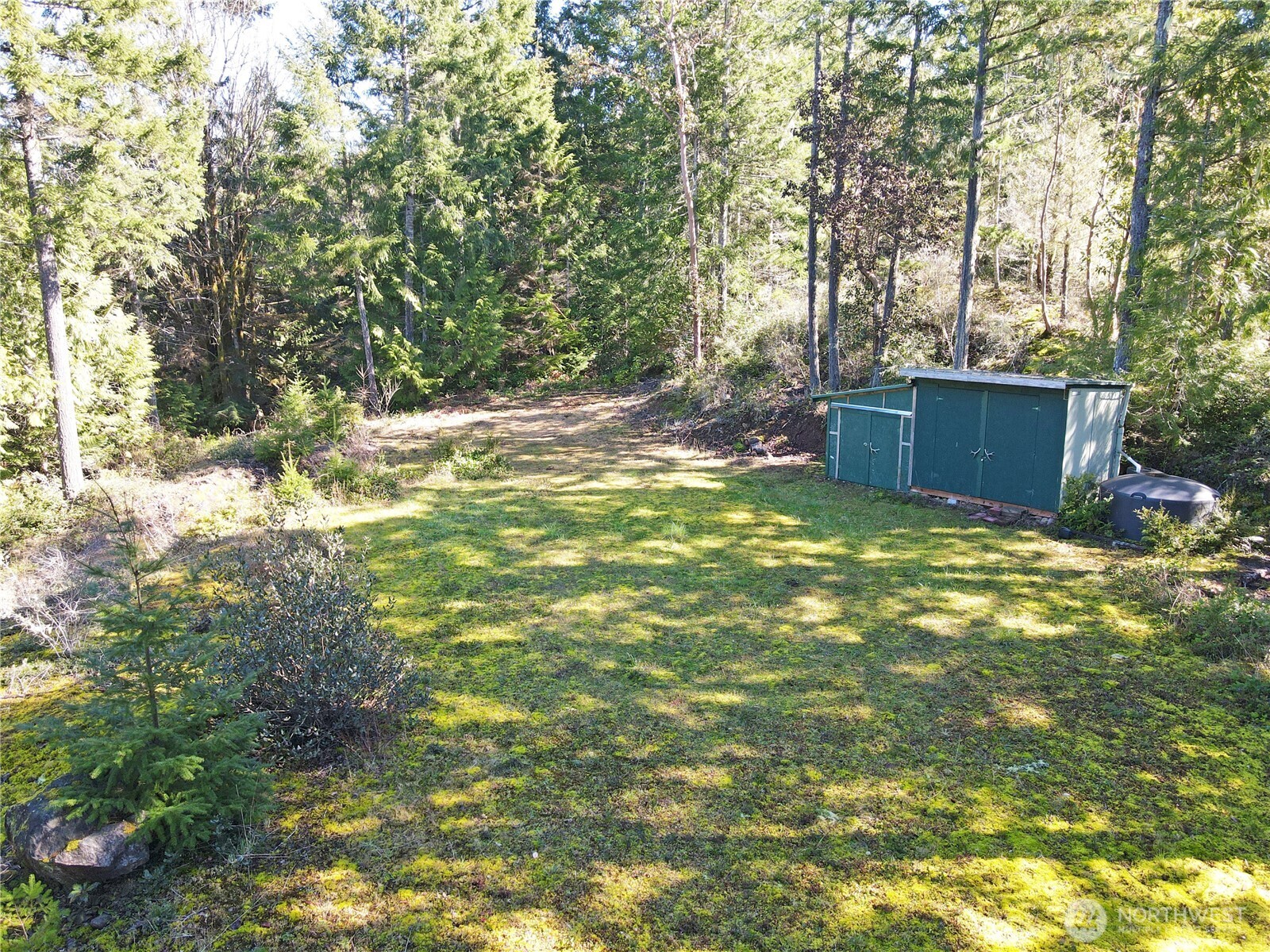 753 Jupiter Loop Brinnon, WA 98320 - Photo 3 of 25 a view of a backyard with large trees