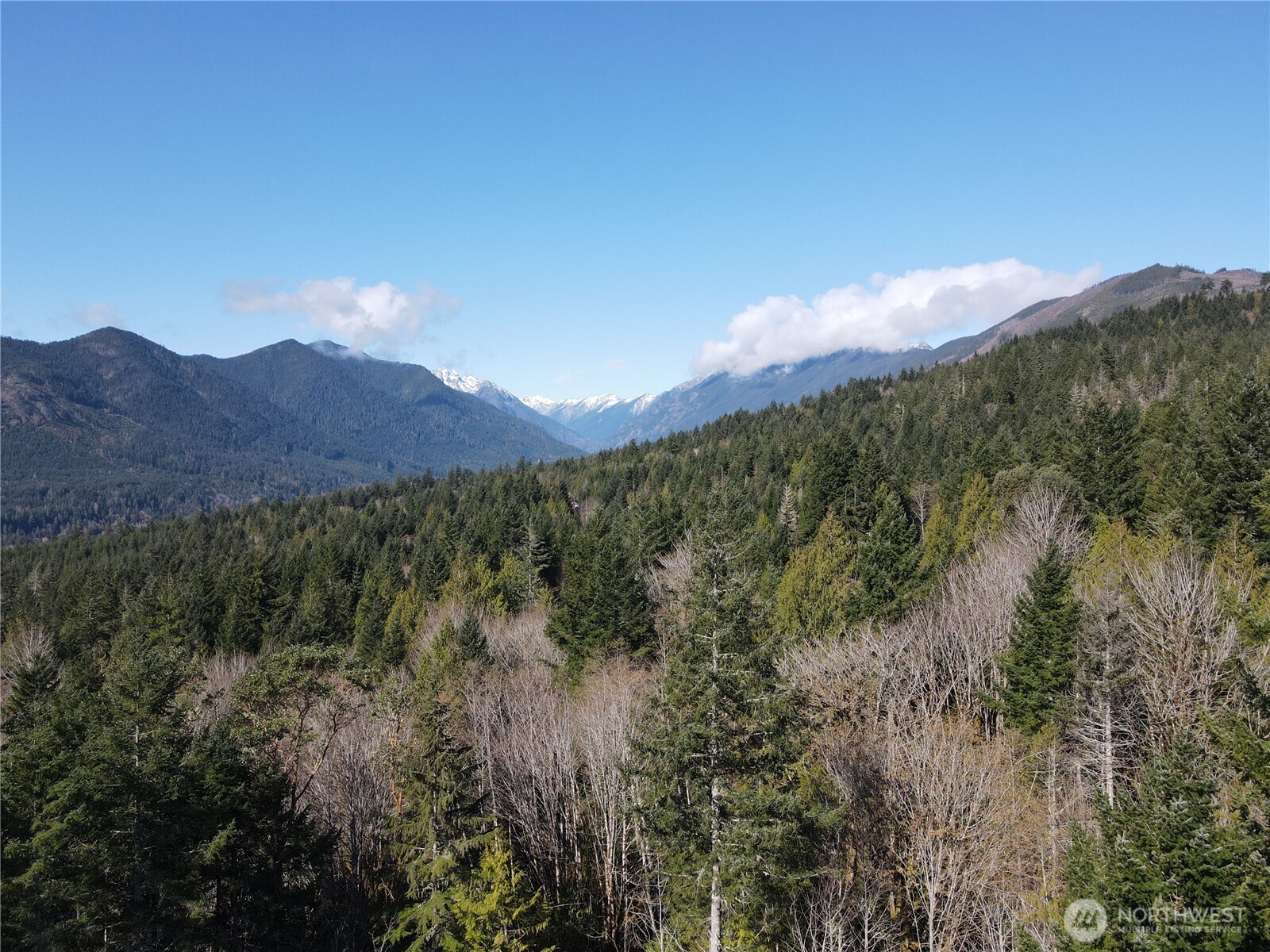 753 Jupiter Loop Brinnon, WA 98320 - Photo 5 of 25 a view of a lush green hillside and a houses