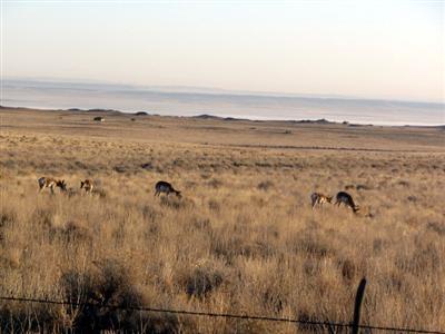 187 Leupp Road Flagstaff, AZ 86004 - Photo 4 of 16 Additional Photo