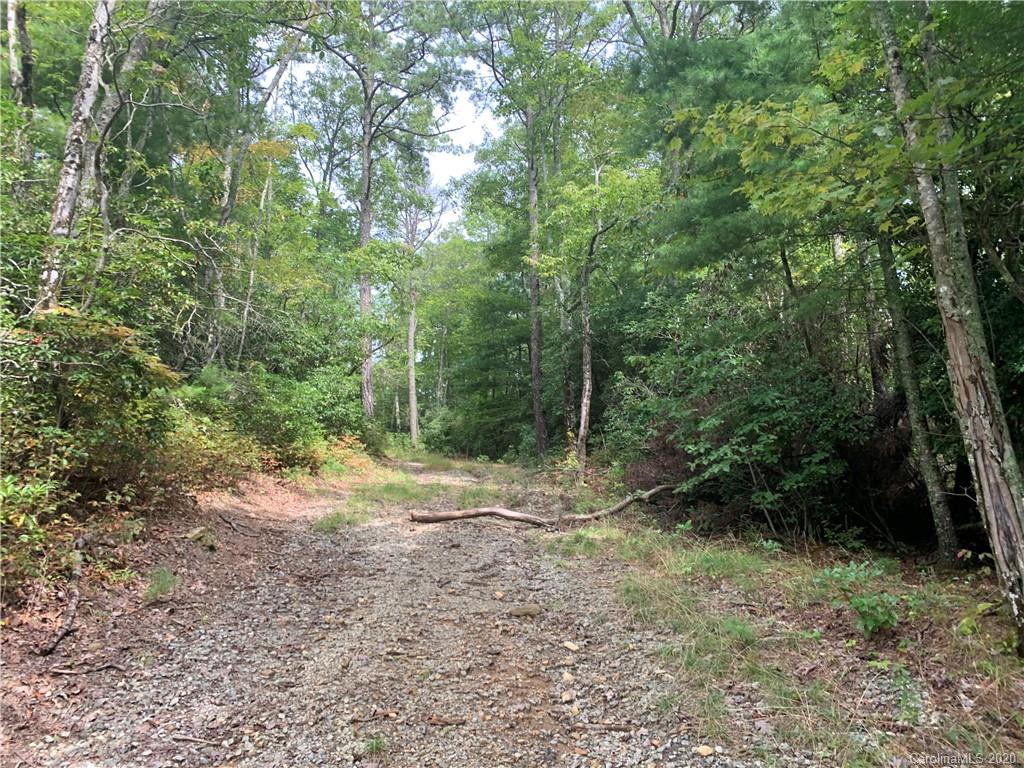 0 Old Cherryfield Road Brevard, NC 28712 - Photo 17 of 35 Gallery Image 17