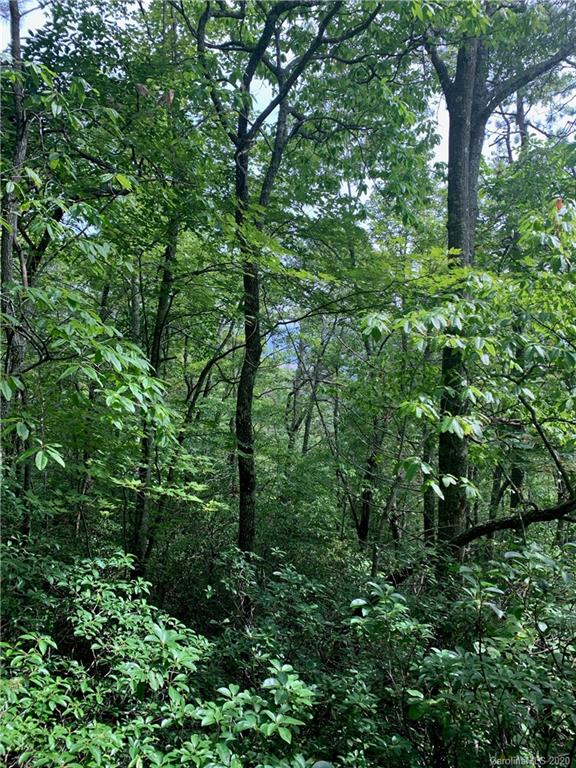 0 Old Cherryfield Road Brevard, NC 28712 - Photo 25 of 35 Gallery Image 25