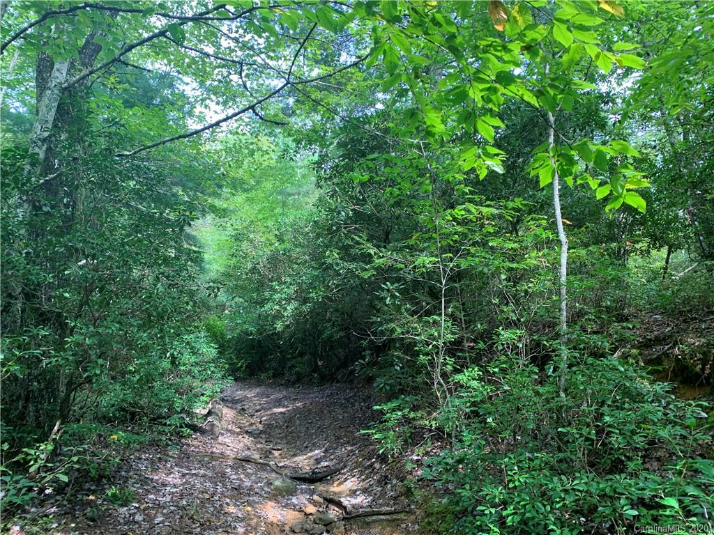 0 Old Cherryfield Road Brevard, NC 28712 - Photo 27 of 35 Gallery Image 27