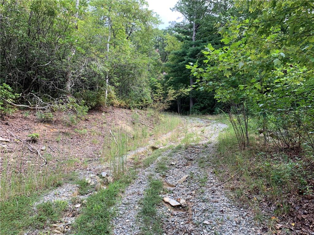 0 Old Cherryfield Road Brevard, NC 28712 - Photo 9 of 35 Gallery Image 9