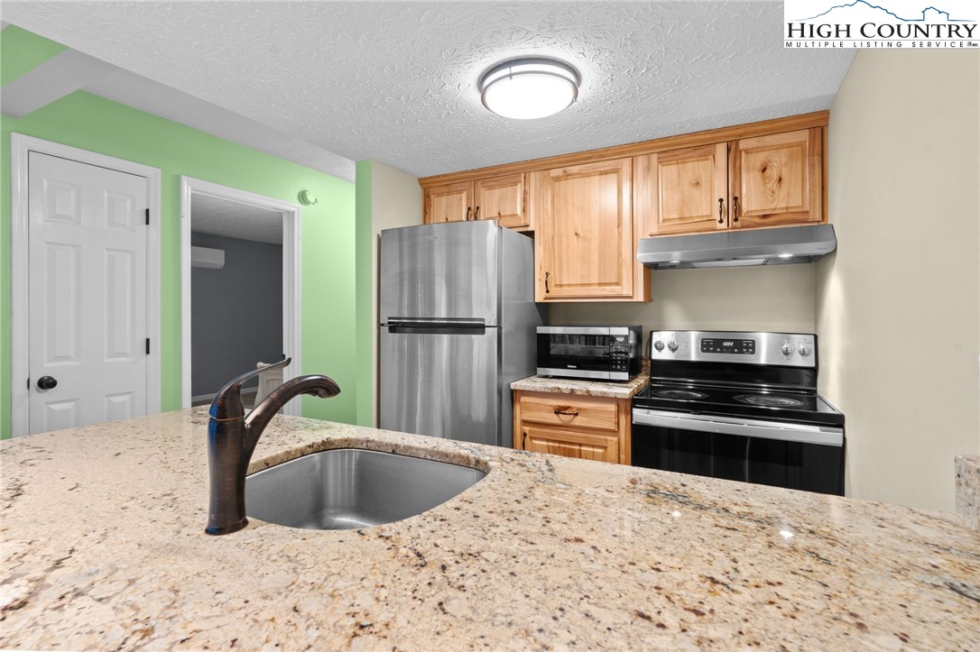 201 South Slope Road, Unit N3 Banner Elk, NC 28604 - Photo 3 of 23