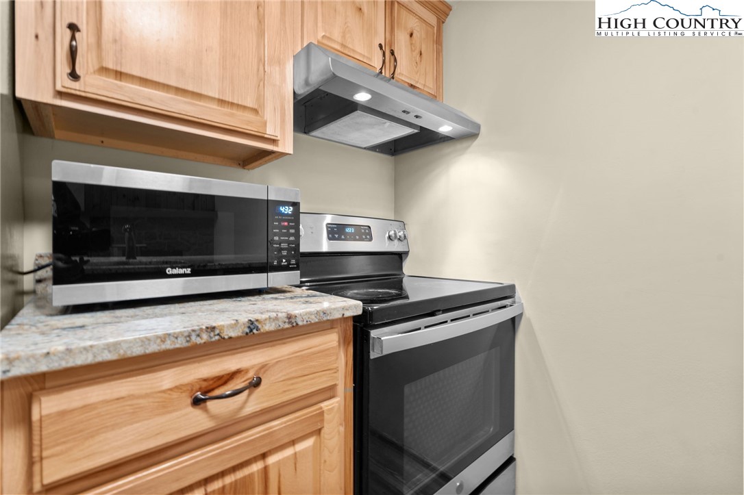 201 South Slope Road, Unit N3 Banner Elk, NC 28604 - Photo 5 of 23