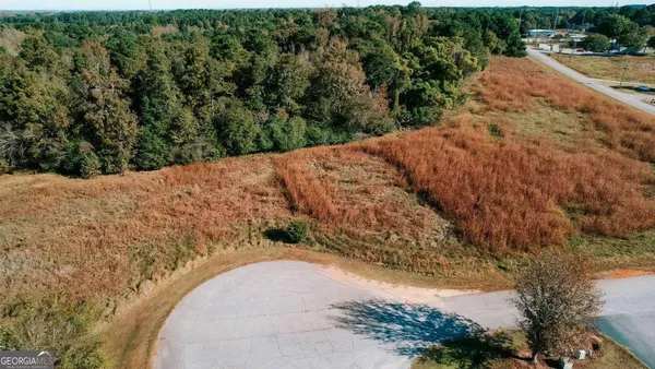 a view of a dry yard with trees