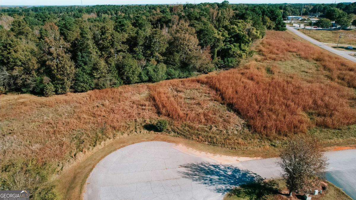 a view of a dry yard with trees
