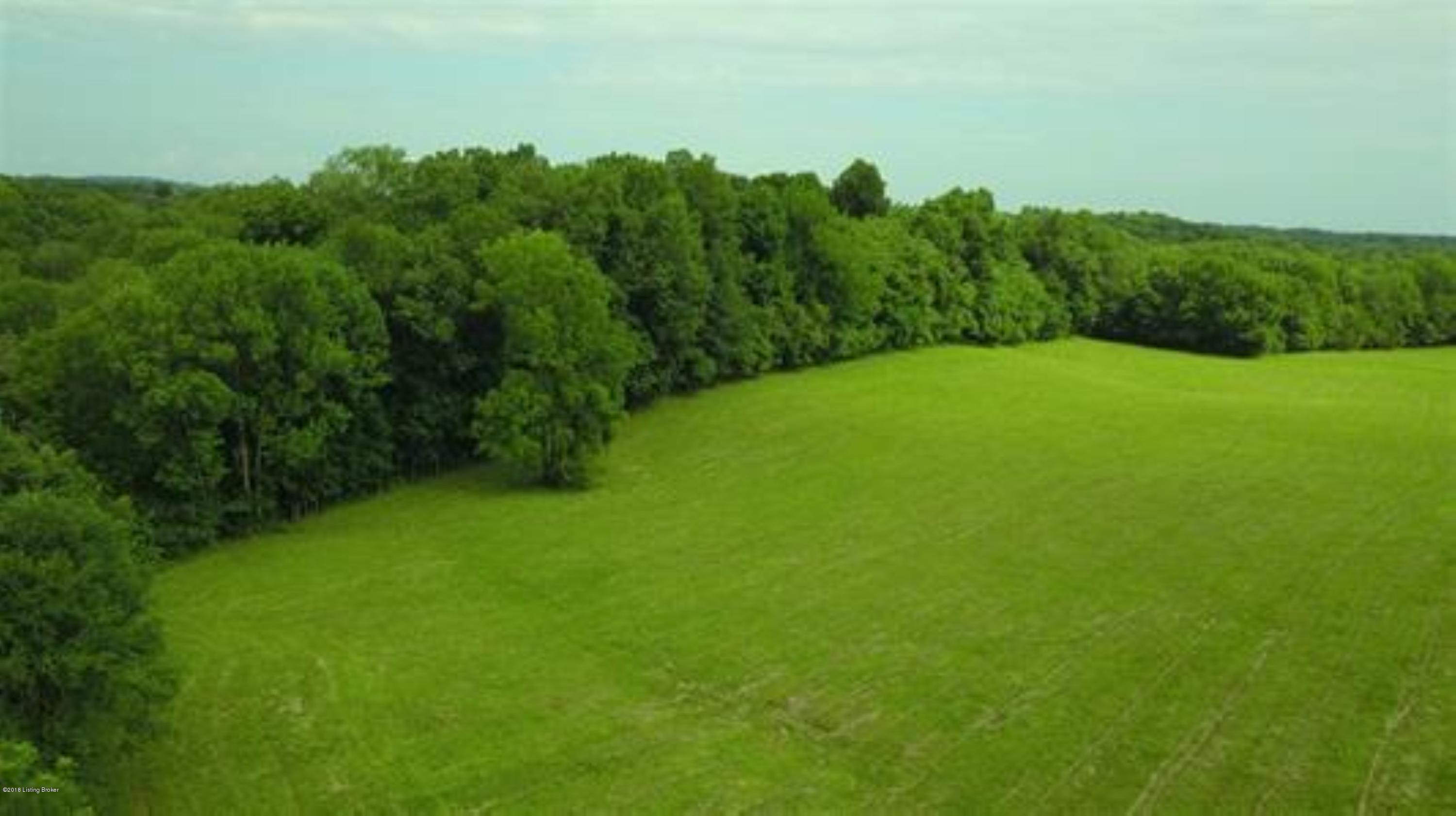0 Hall Simpson Road Loretto, KY 40037 - Photo 1 of 15 Land