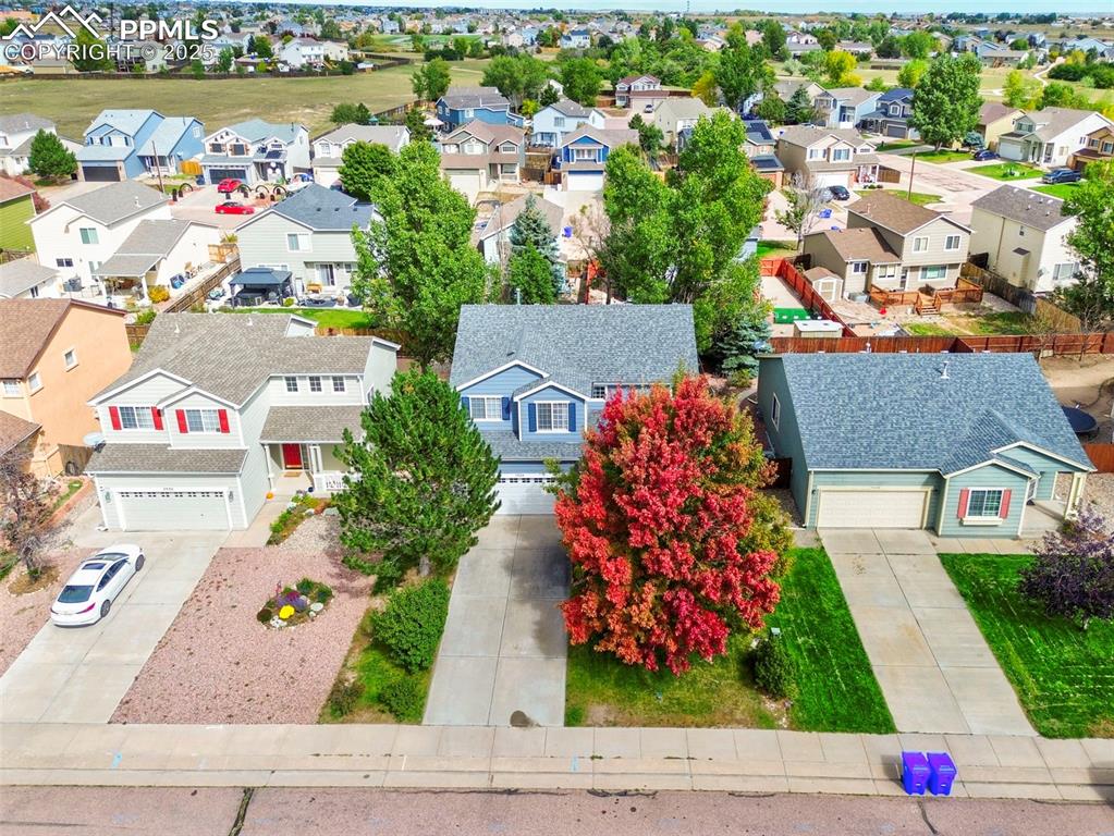 7524 Stephenville Road Peyton, CO 80831 - Photo 4 of 45