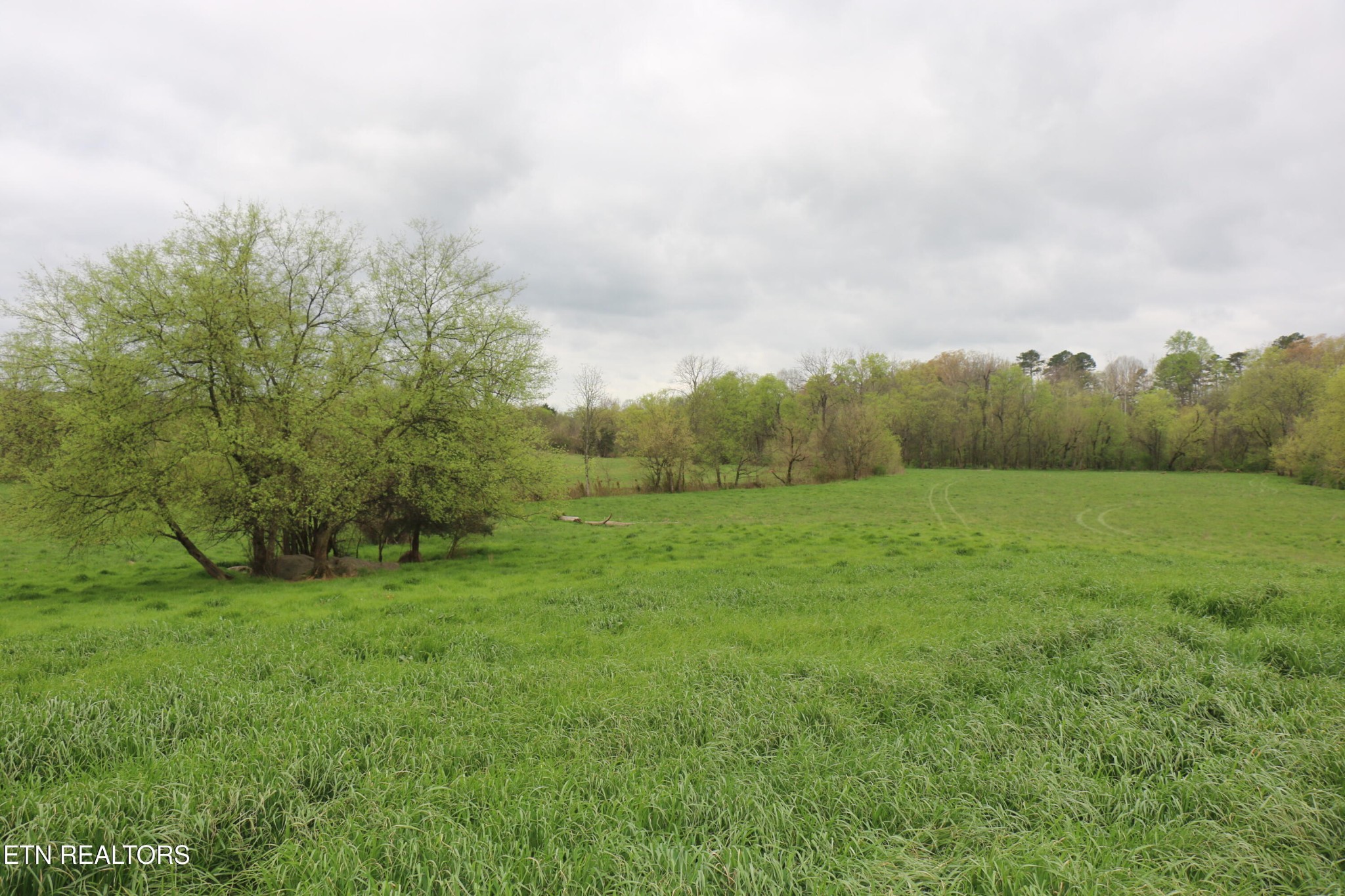 551 Campground Road Madisonville, TN 37354 - Photo 9 of 14 Gallery Image 9