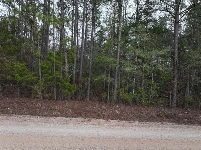 $64,980 | Lot 3 Silva Drive, Hamilton, GA 31811