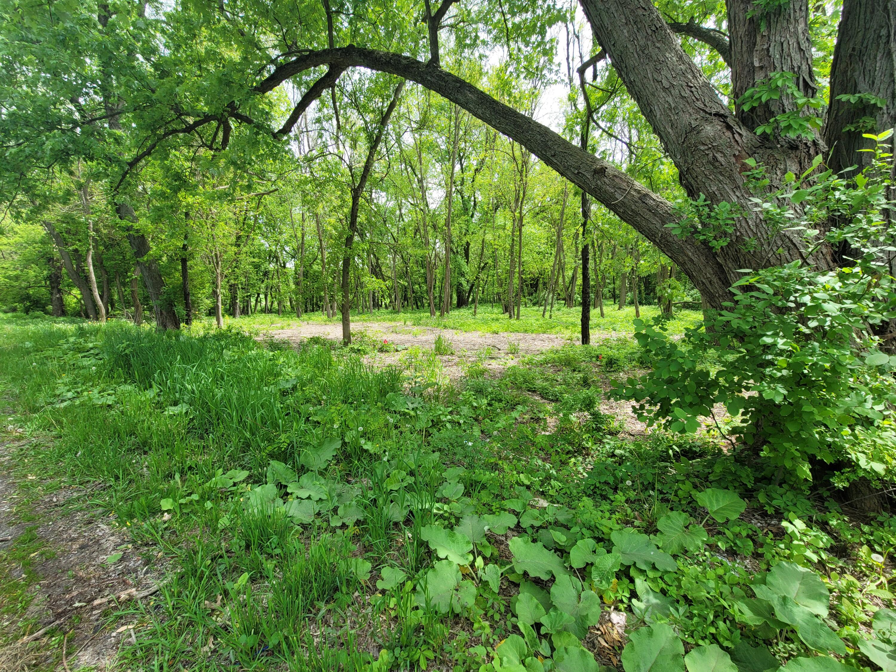 594 West Division Road Hebron, IN 46341 - Photo 2 of 3 a view of outdoor space with a lake view