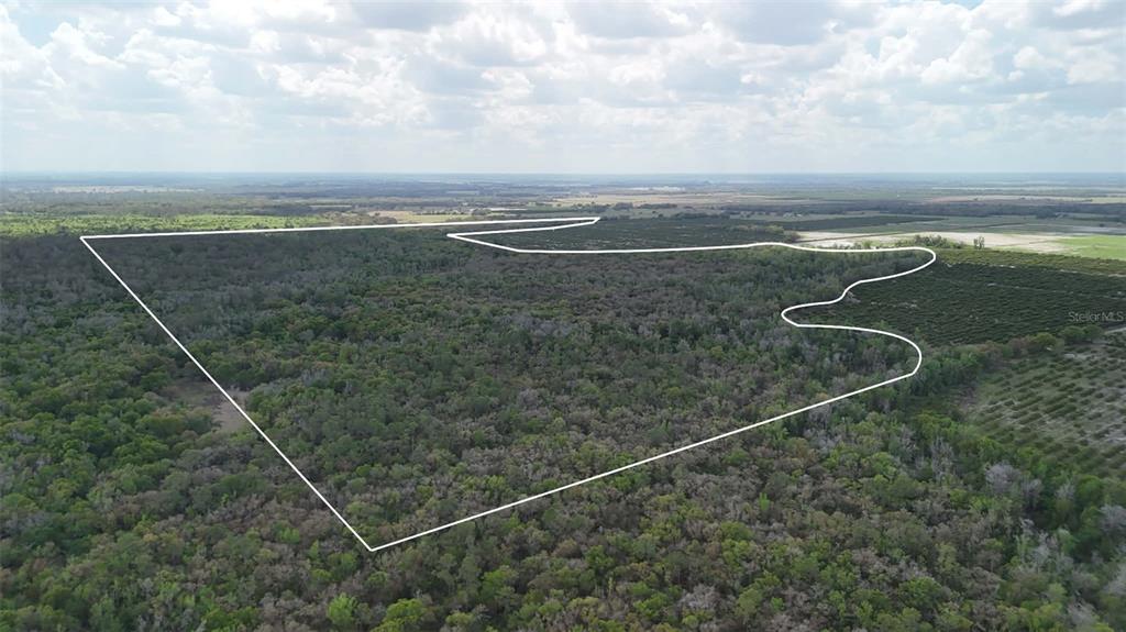 Gillette Road Zolfo Springs, FL 33890 - Photo 63 of 86 Gallery Image 63